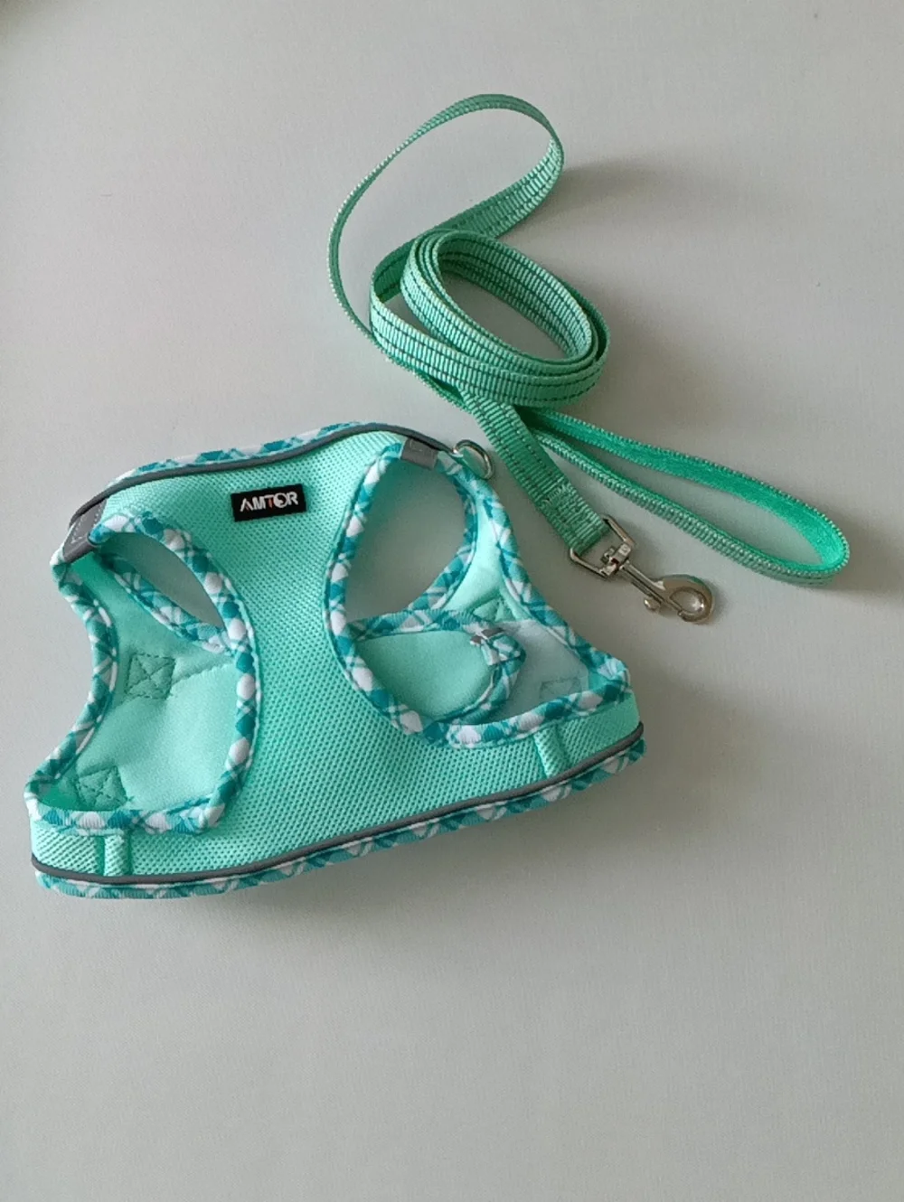 AMTOR Mint Green Dog Harness & Leash Set